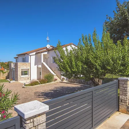 Allegra * كانافانار